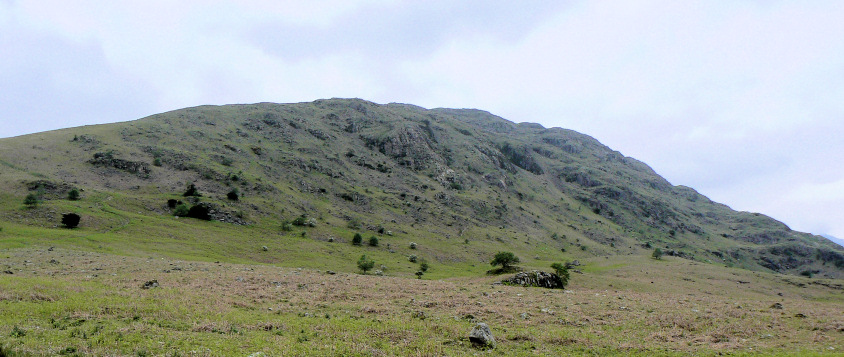 Middle Fell Middle Fell